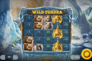 Wild Tundra slot review gameplay image