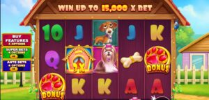 The Big Dog House slot review gameplay image – 250 spin test