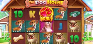 The Dog House slot review gameplay image – 250 spin test
