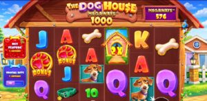 The Dog House Megaways 1000 slot review gameplay image – 250 spin test