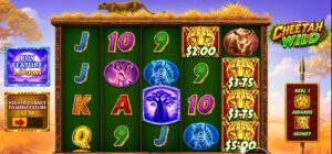 Cheetah Wild slot review gameplay image – 250 spin test