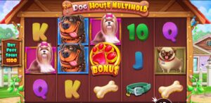 The Dog House Multihold slot review gameplay image – 250 spin test